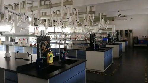 食品工程与建筑智能化的融合 打造高效安全的现代化食品工厂